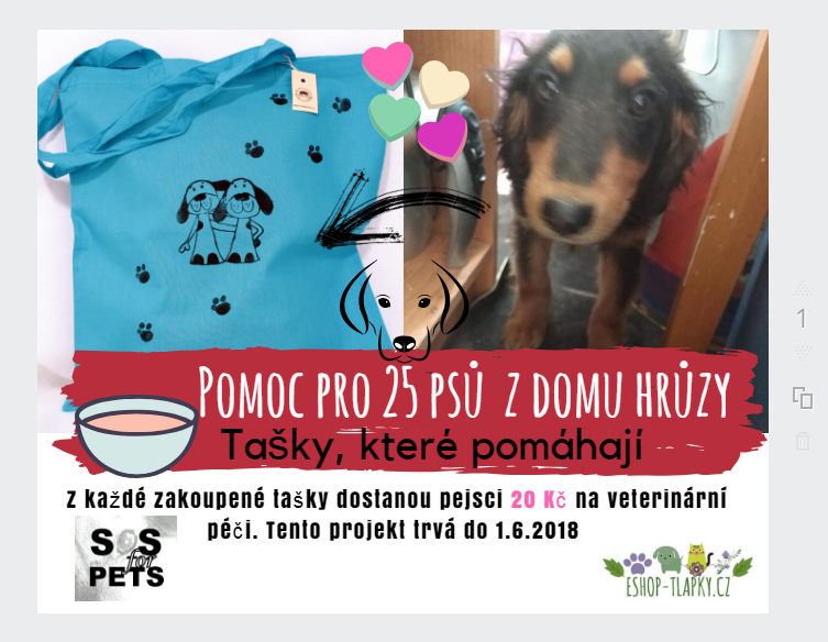 for pets